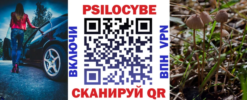 Галлюциногенные грибы MAGIC MUSHROOMS  Новопавловск 